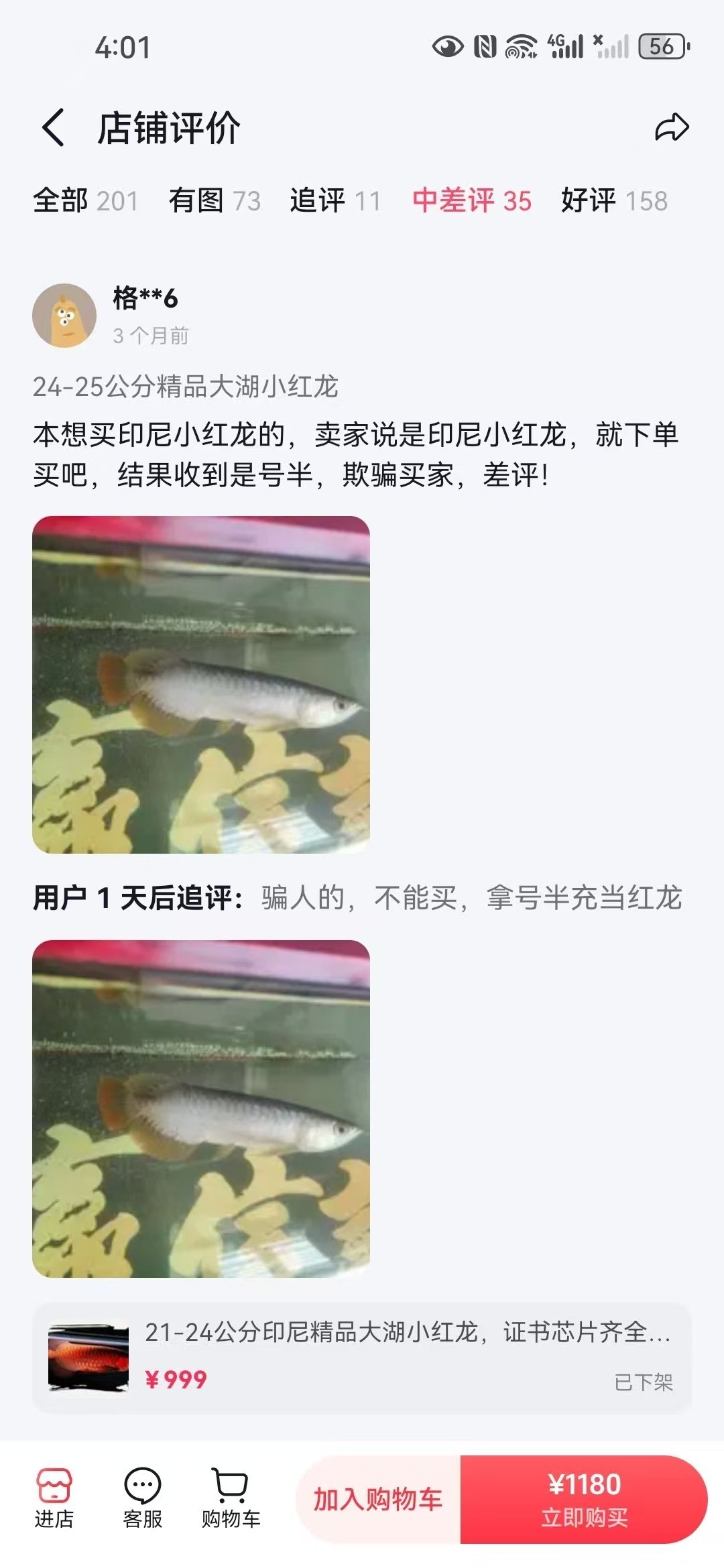 直播間購買觀賞魚被騙，老謝龍魚就是騙子 直播間購買觀賞魚被騙，老謝龍魚就是騙子 龍魚論壇 第1張