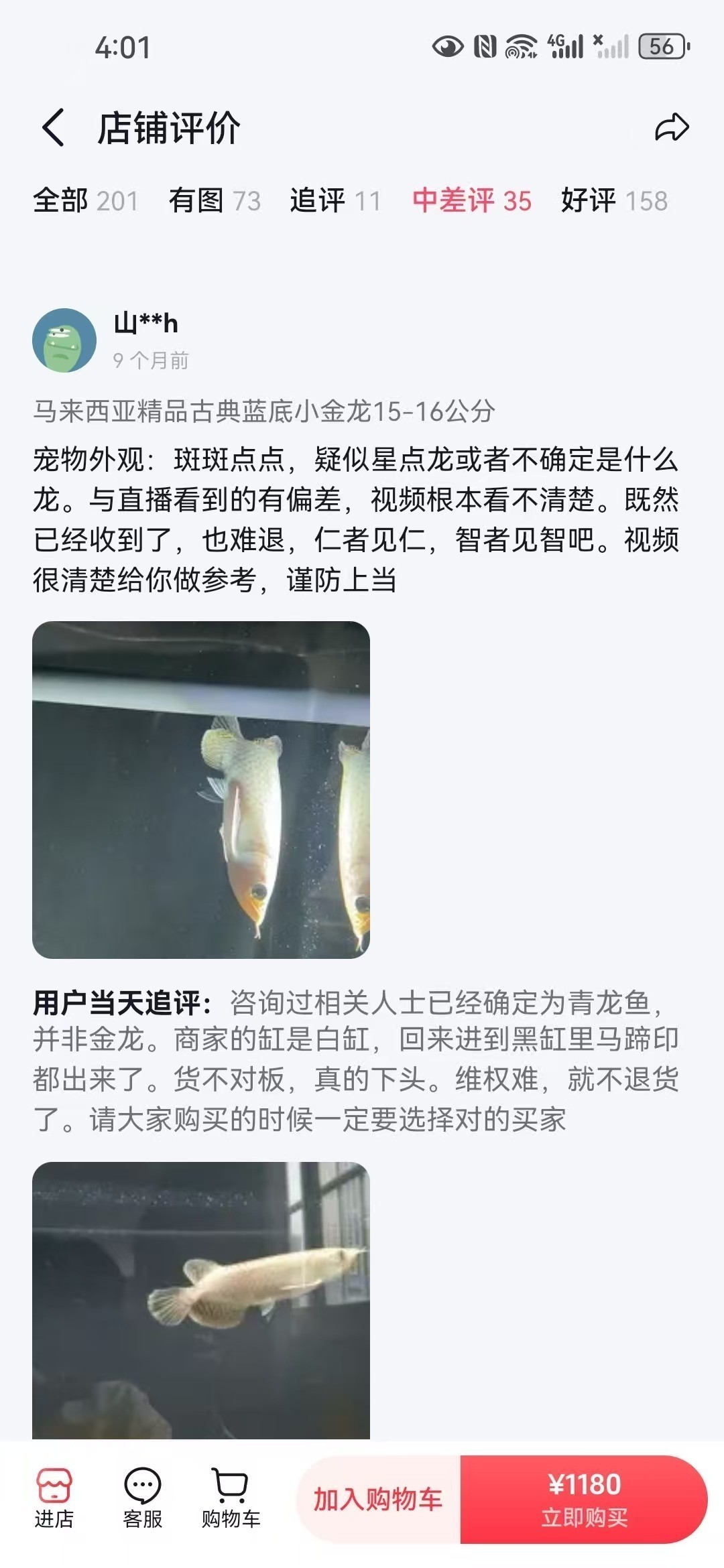 直播間購買觀賞魚被騙，老謝龍魚就是騙子 直播間購買觀賞魚被騙，老謝龍魚就是騙子 龍魚論壇 第2張