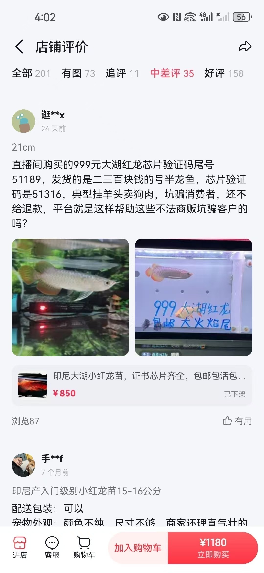 直播間購買觀賞魚被騙，老謝龍魚就是騙子 直播間購買觀賞魚被騙，老謝龍魚就是騙子 龍魚論壇 第3張