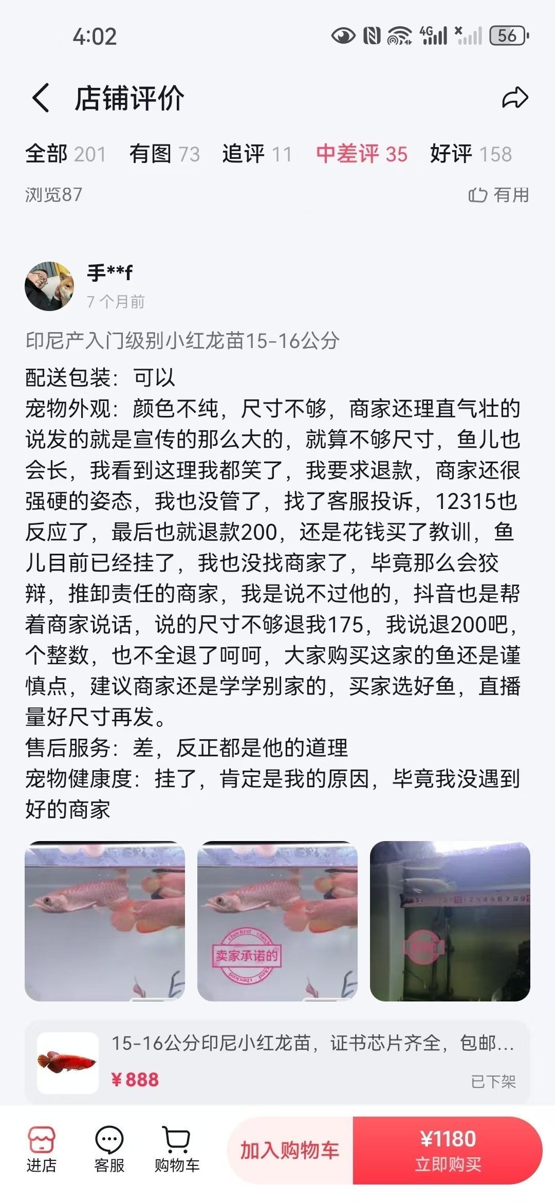 直播間購買觀賞魚被騙，老謝龍魚就是騙子 直播間購買觀賞魚被騙，老謝龍魚就是騙子 龍魚論壇 第4張