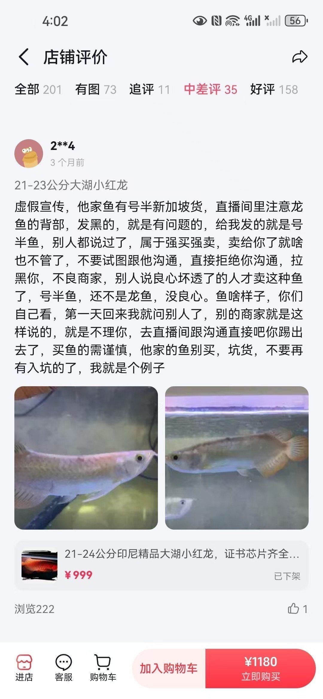 直播間購買觀賞魚被騙，老謝龍魚就是騙子 直播間購買觀賞魚被騙，老謝龍魚就是騙子 龍魚論壇 第5張