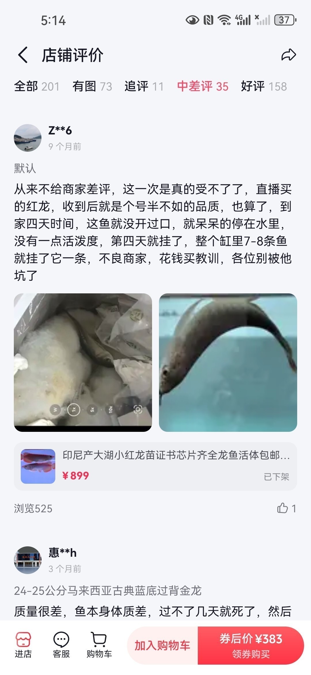 直播間購買觀賞魚被騙，老謝龍魚就是騙子 直播間購買觀賞魚被騙，老謝龍魚就是騙子 龍魚論壇 第6張