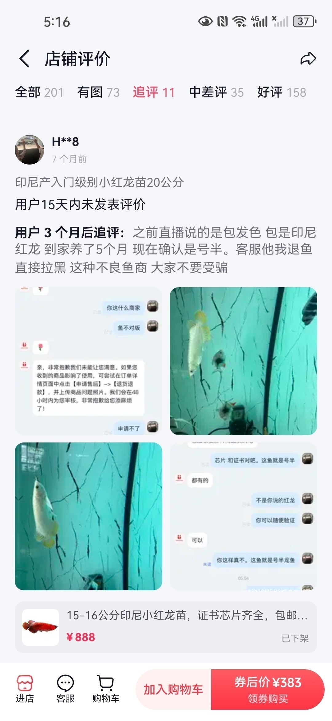 直播間購買觀賞魚被騙，老謝龍魚就是騙子 直播間購買觀賞魚被騙，老謝龍魚就是騙子 龍魚論壇 第7張