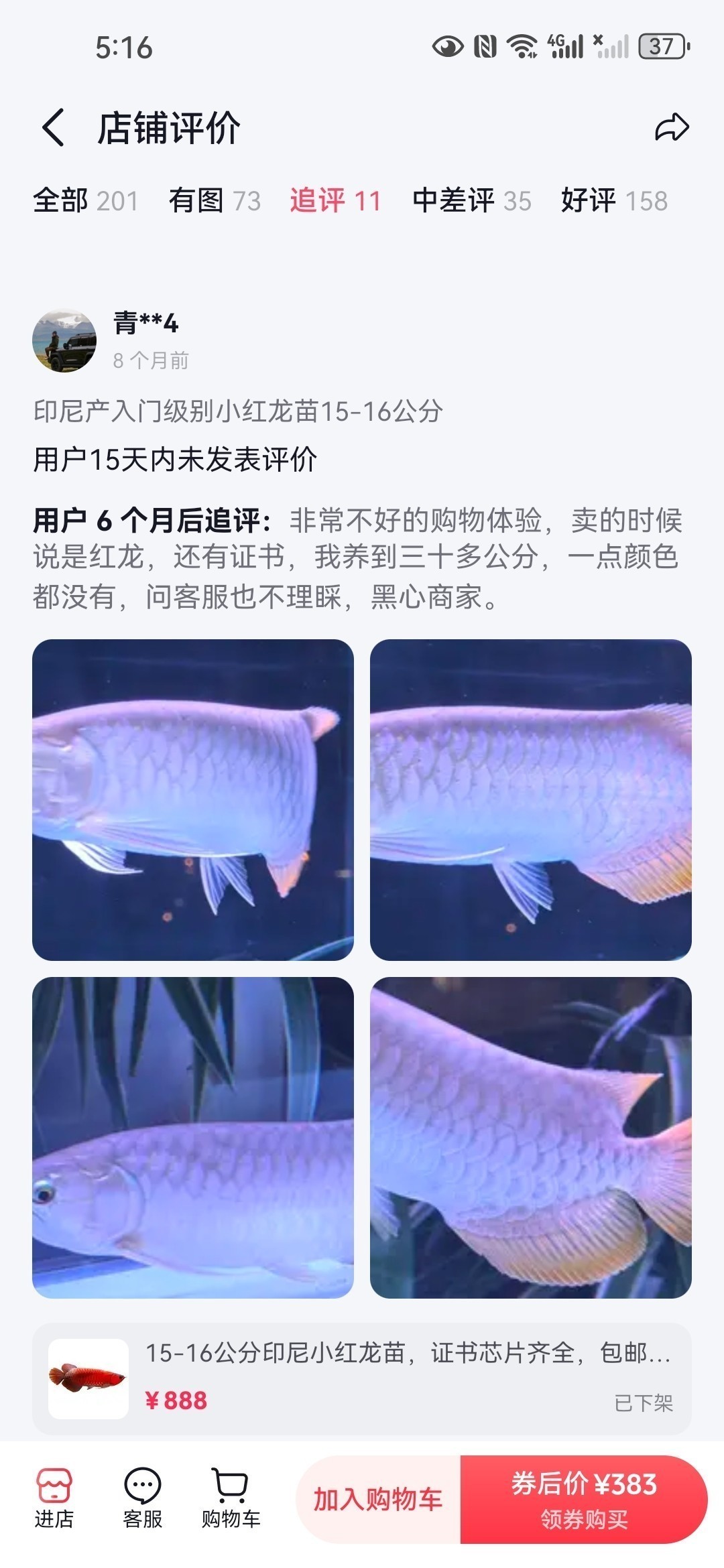 直播間購買觀賞魚被騙，老謝龍魚就是騙子 直播間購買觀賞魚被騙，老謝龍魚就是騙子 龍魚論壇 第8張