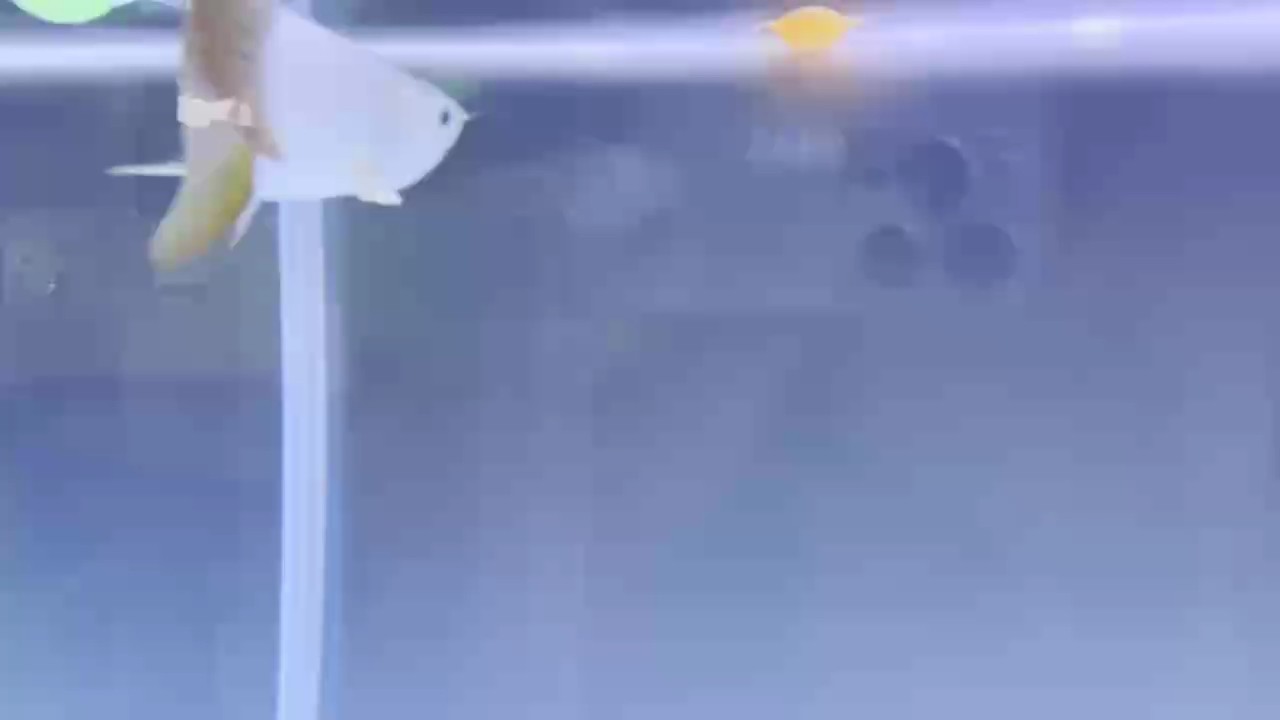 回家一個月