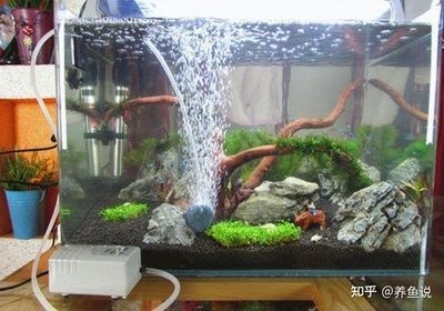上海盈賀水族設(shè)備工程中心（上海盈賀水族設(shè)備工程中心地址）