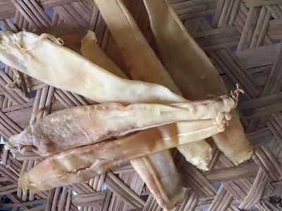 小金龍魚膠的功效與作用
