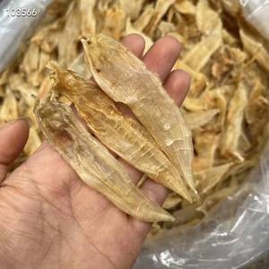 小金龍魚膠的功效與作用