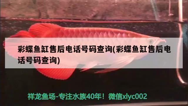 萊<strong><mark>西市</mark></strong>雙潤雨水族店（萊<strong><mark>西市</mark></strong>雙潤雨水族店電話號碼）