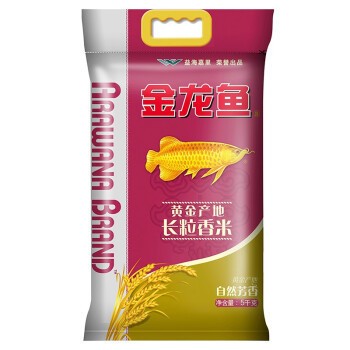 金龍魚認主需要多長時間？