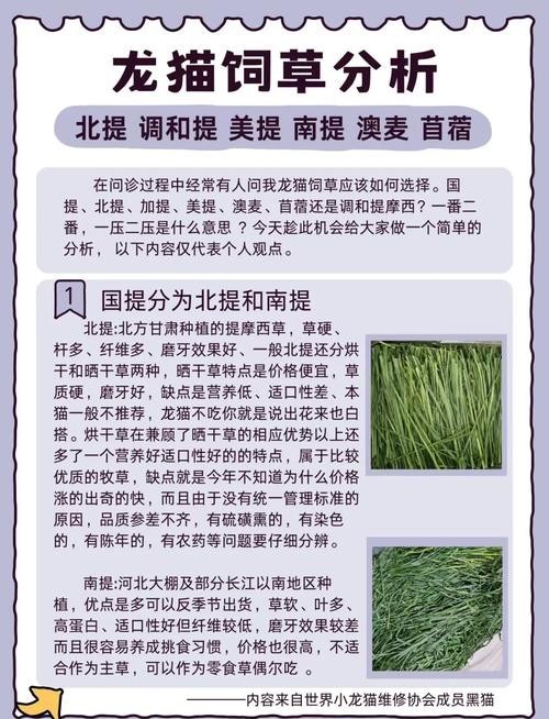 龍貓的食物應該如何搭配？