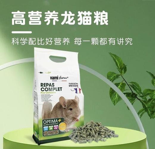 龍貓的食物應該如何搭配？