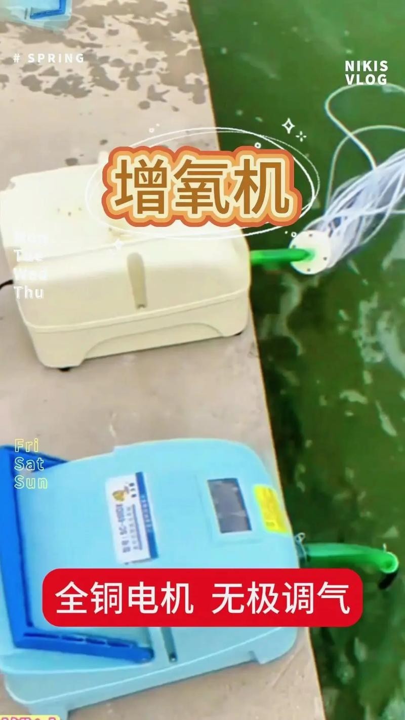 龍魚浮水面游來游去