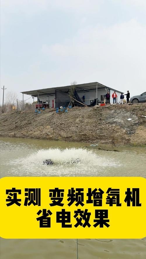 龍魚浮水面游來游去