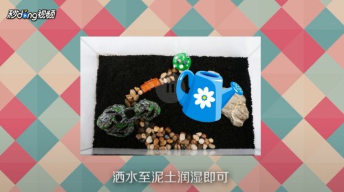 中山市港口鎮荷花水族館（中山市港口鎮荷花水族館電話）
