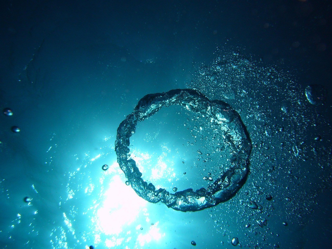 潛水艇魚需要打氧氣嗎