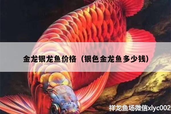 上海市閔行區吳涇永德水族館（上海市閔行區吳涇永德水族館地址）