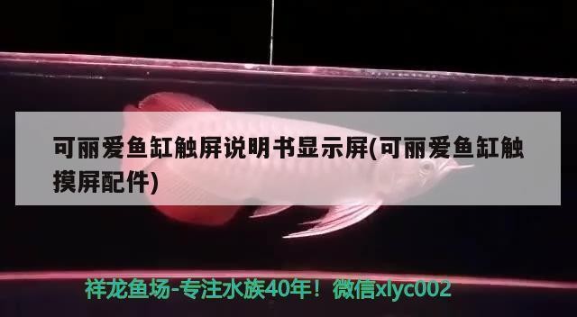 濟南槐蔭鴻祥水族館（濟南鴻祥茶莊）