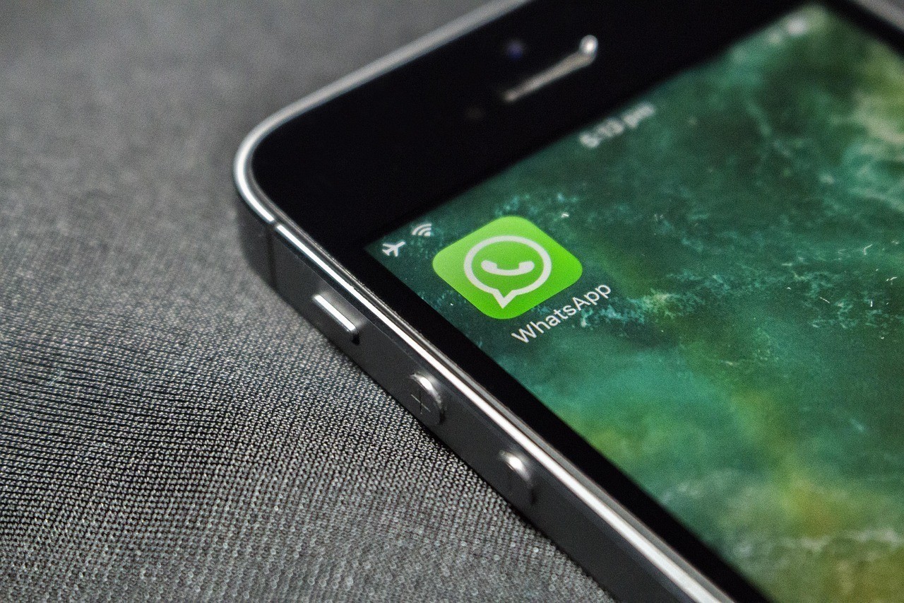 森森魚缸官網APP 森森魚缸官網APP 龍魚論壇 第1張