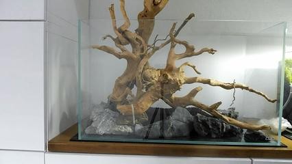 魚(yú)缸用增氧泵價(jià)格是多少:魚(yú)缸增氧機(jī)-xtrac增氧機(jī)-xtrac增氧機(jī) 洪洞縣城恒富路森森格池水族(洪洞生態(tài)園飯店) 全國(guó)水族館企業(yè)名錄 洪洞縣城恒富路森森格池水族(洪洞生態(tài)園飯店) 洪洞縣城恒富路森森格池水族(洪洞生態(tài)園飯店) 全國(guó)水族館企業(yè)名錄