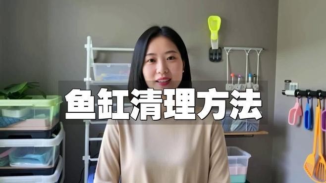 銀龍魚缸怎么清理