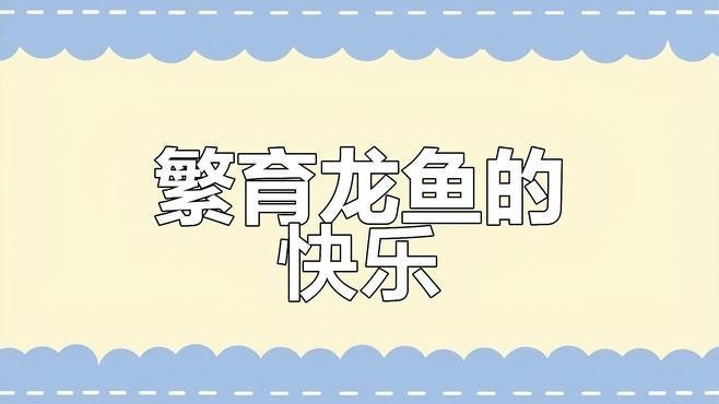 龍魚魚缸繁殖