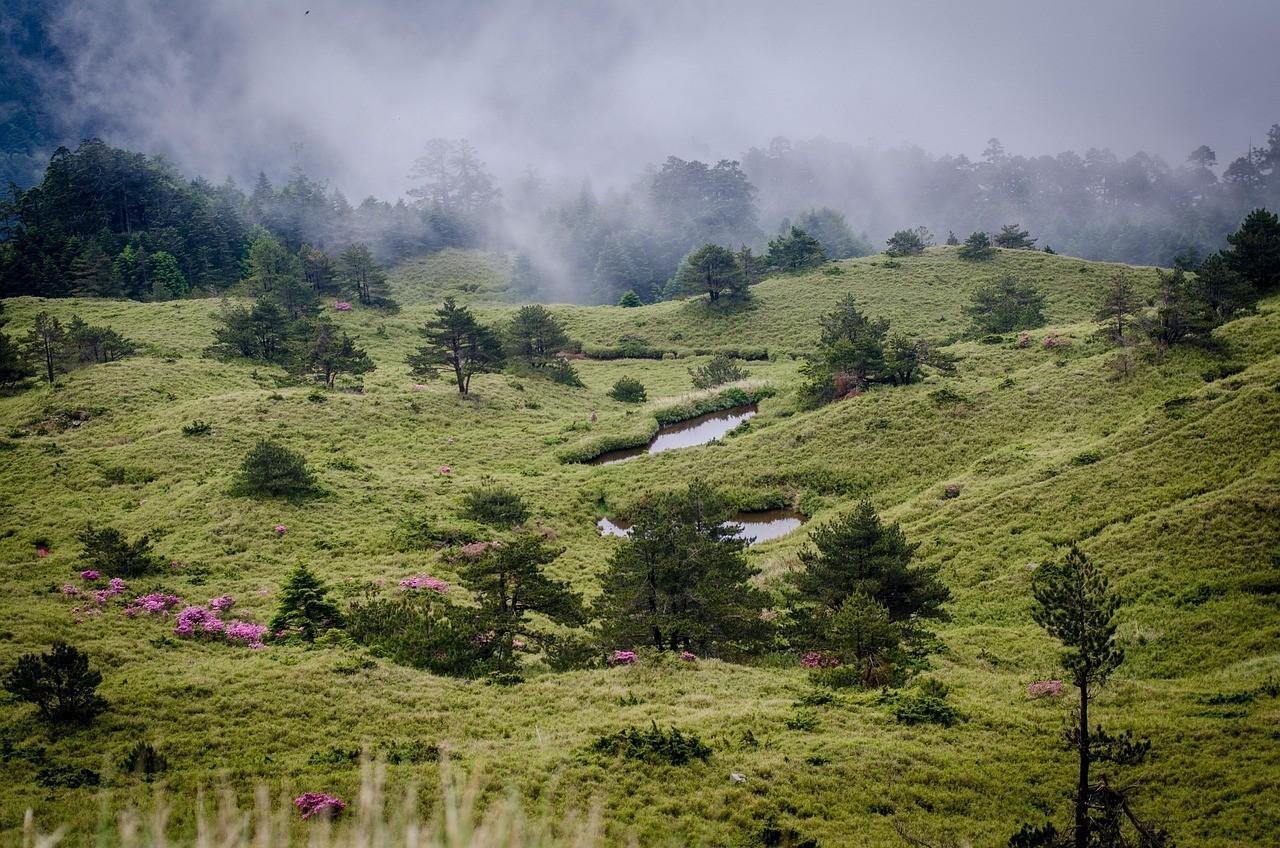 福建山水蒙旅游開發有限公司（山水 蒙）