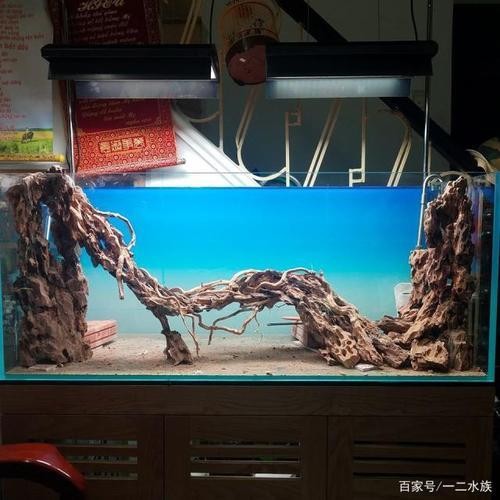博興縣曹王鎮(zhèn)魚門旺族水族工作室（博興縣曹王鎮(zhèn)魚門旺族水族工作室電話）