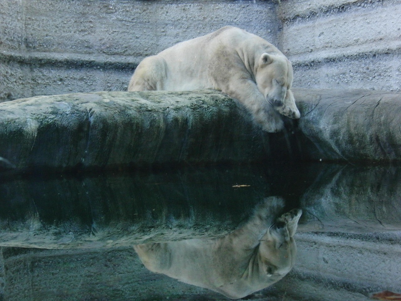 <strong><mark>社旗</mark></strong>縣賒店鎮多多水族館