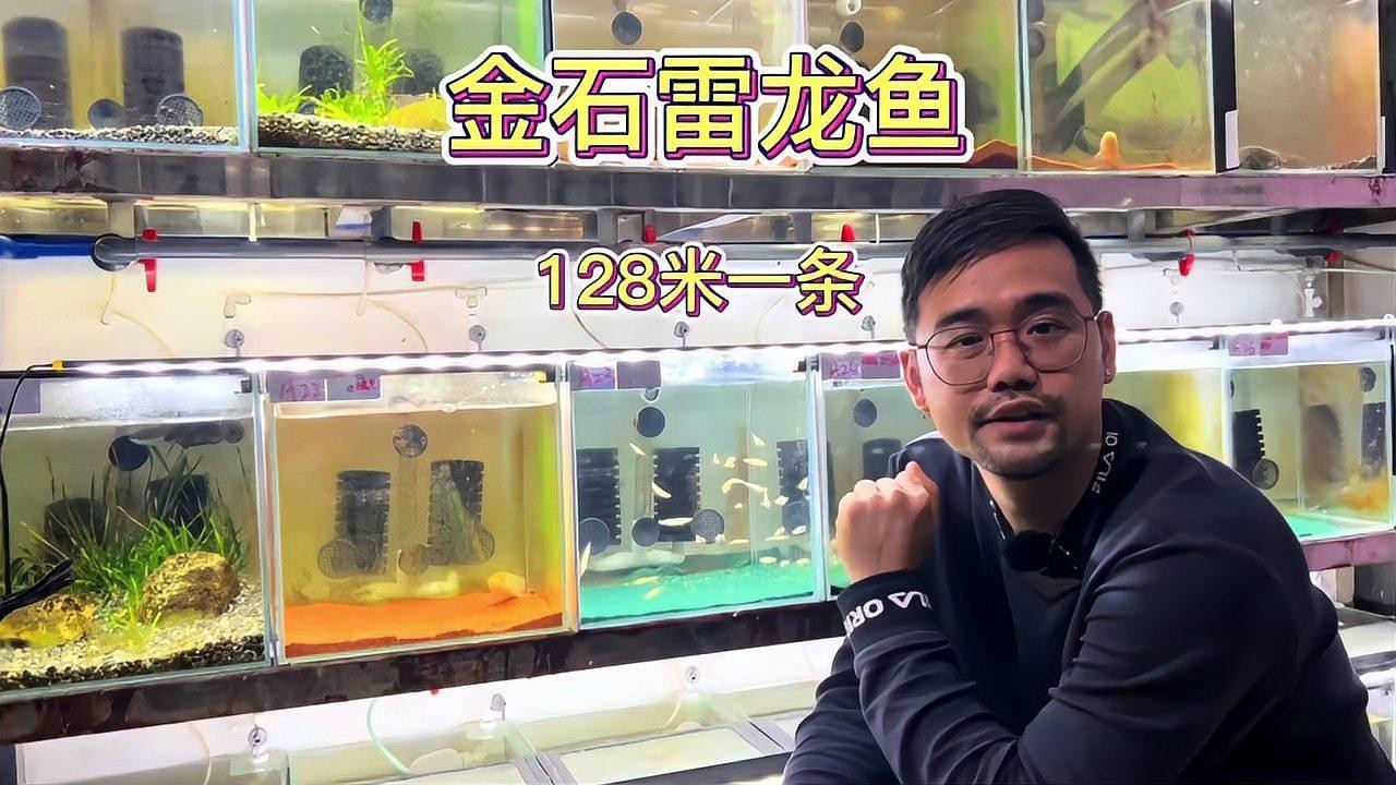 雷龍魚為什么這么貴啊