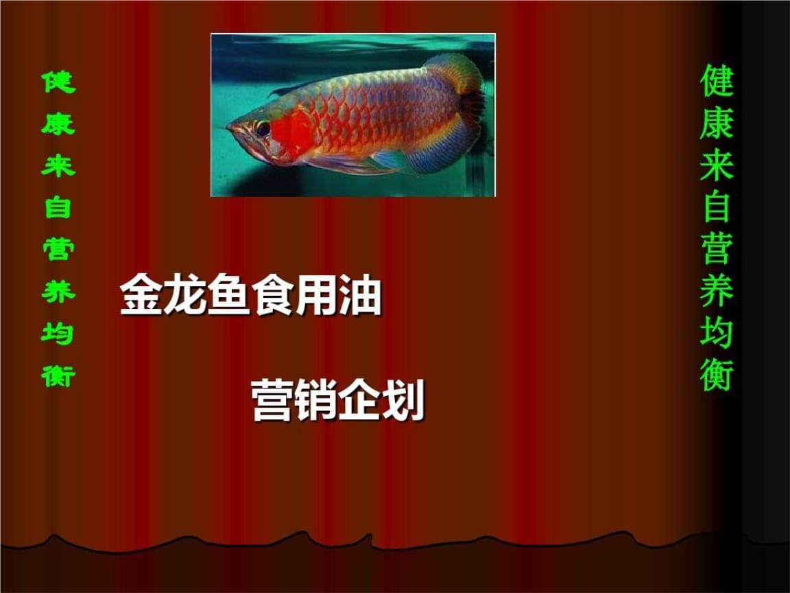 銀川市西夏區個體經營寶寶水族館（銀川哪里有水族館）