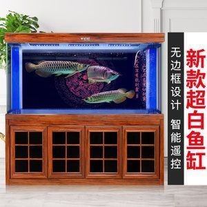 茂名市電白區水東鎮鳥巢水族館（電白水東花鳥市場）