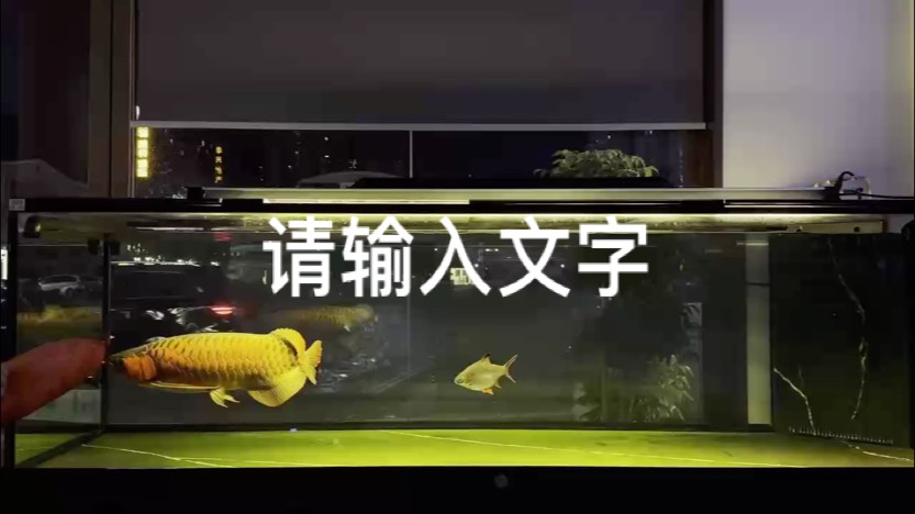 逗逗大家開(kāi)心