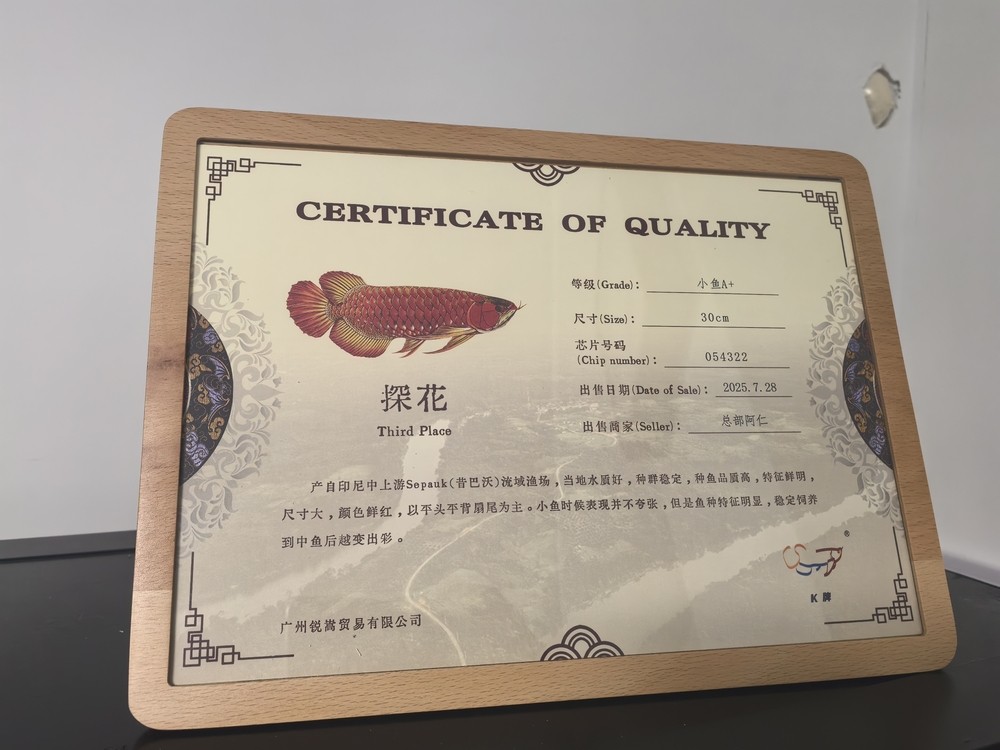 你好，一起余生