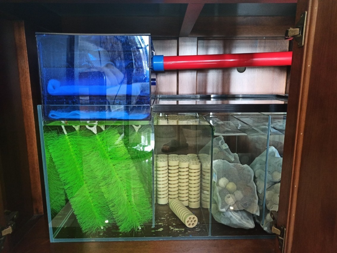自用實木魚缸便宜轉讓