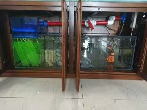 自用實木魚缸便宜轉讓