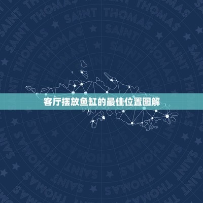 魚缸的水為什么新?lián)Q的就混了一層（如何快速建立魚缸硝化系統(tǒng)？）