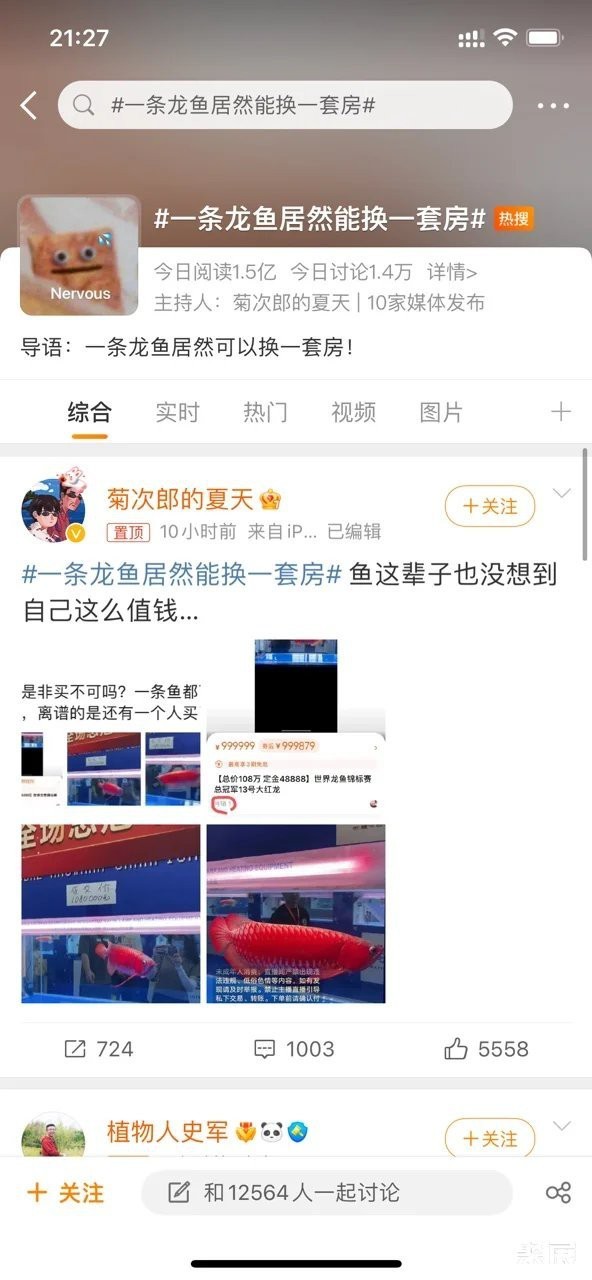 紅龍魚拍賣會一般在哪里舉辦？