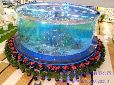 觀賞魚缸的設(shè)計美學：蘇州觀賞魚缸生產(chǎn)廠家
