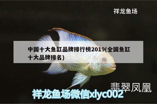 全國魚缸排行榜：全國水族箱品牌排名