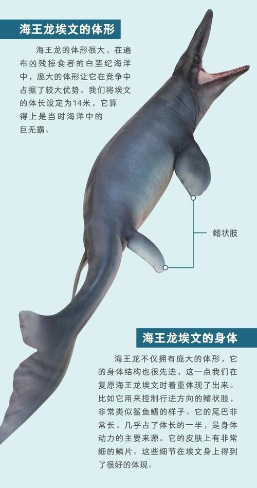 海龍王圖片