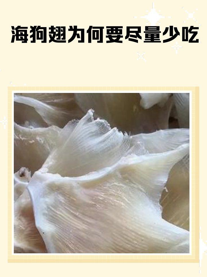 狗仔翅是什么魚(yú)
