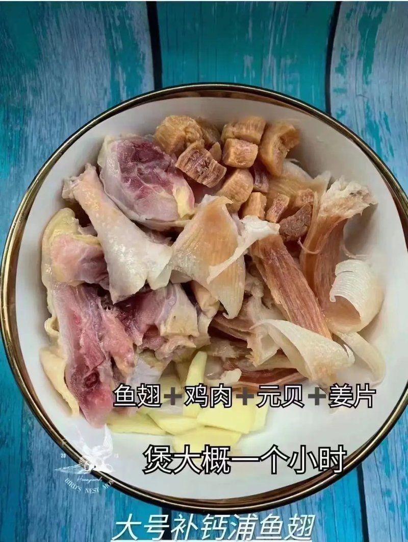 狗仔翅是什么魚(yú)