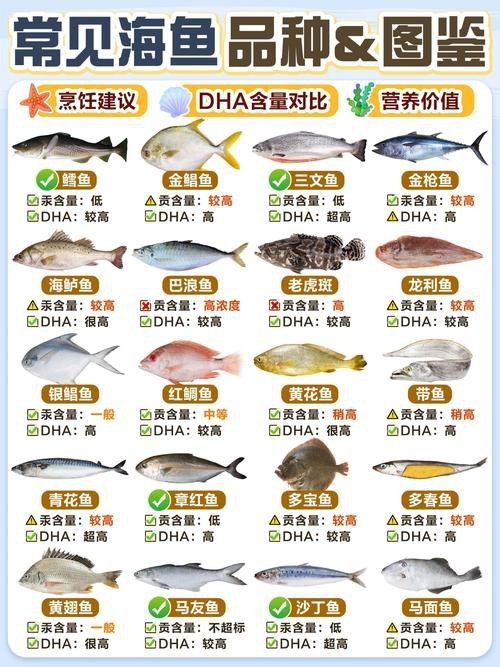 海魚種類圖片大全大圖