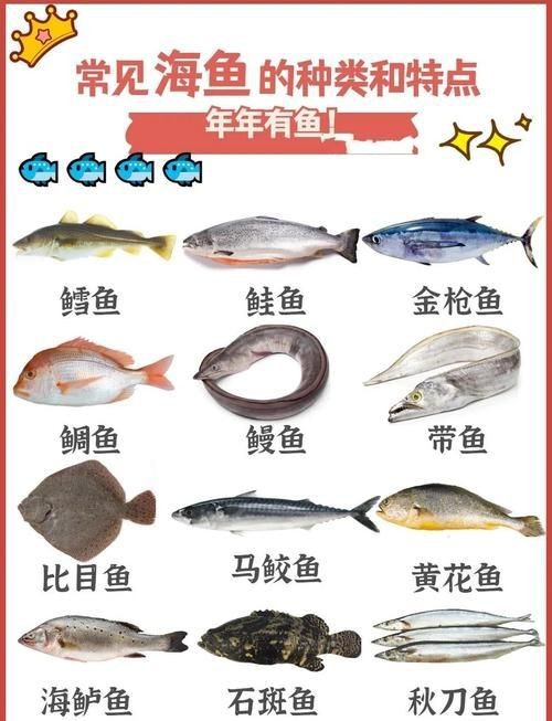 海魚種類圖片大全大圖