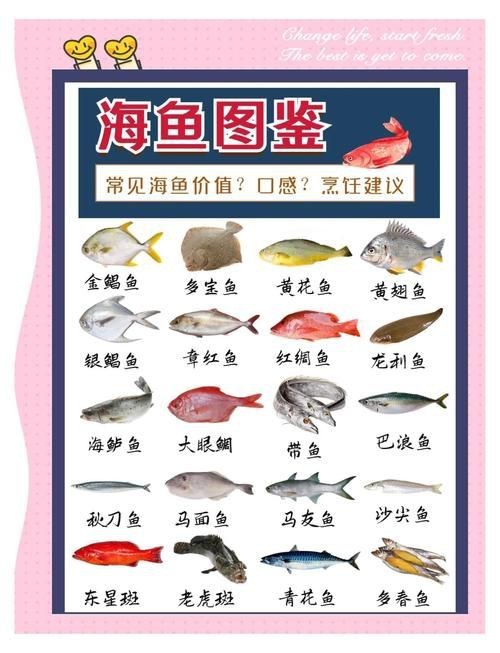 海魚種類圖片大全大圖