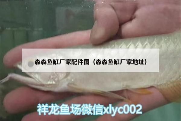 森森魚缸廠家配件圖（森森魚缸操作造浪泵體安裝教程視頻魚缸配件適配器使用方法）