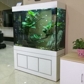 江彩魚缸官網(wǎng)：徐州金江水族器材有限公司江彩魚缸熱銷款式推薦