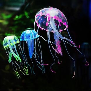 金龍魚幼魚缸內裝飾品推薦：關于金龍魚幼魚缸內的裝飾 金龍魚幼魚缸內裝飾品推薦：關于金龍魚幼魚缸內的裝飾 魚缸百科 第2張