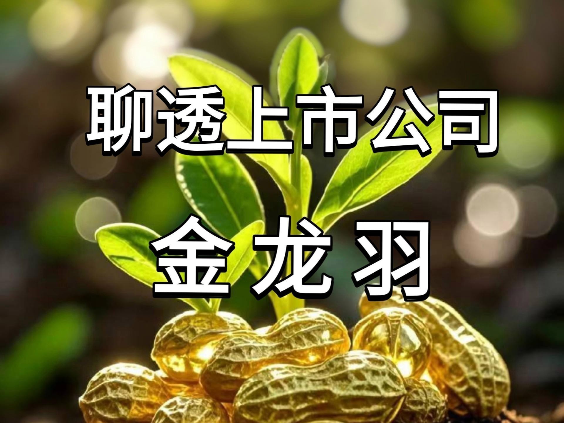 金龍羽未來有哪些發展計劃？ 金龍羽未來有哪些發展計劃？ 龍魚論壇 第3張